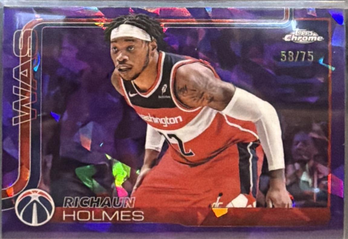 Richaun Holmes [Purple] #236