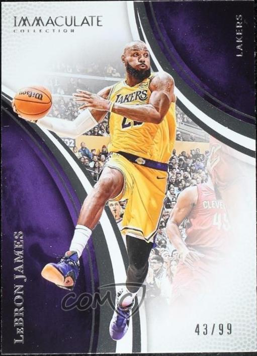 LeBron James #65