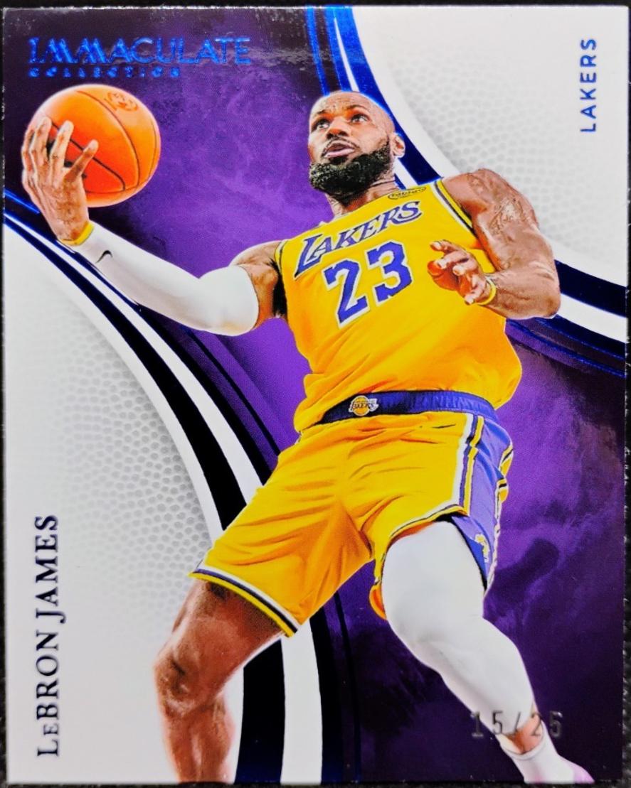 LeBron James [Blue] #38