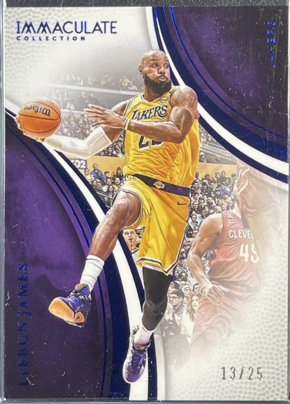 LeBron James [Blue] #65