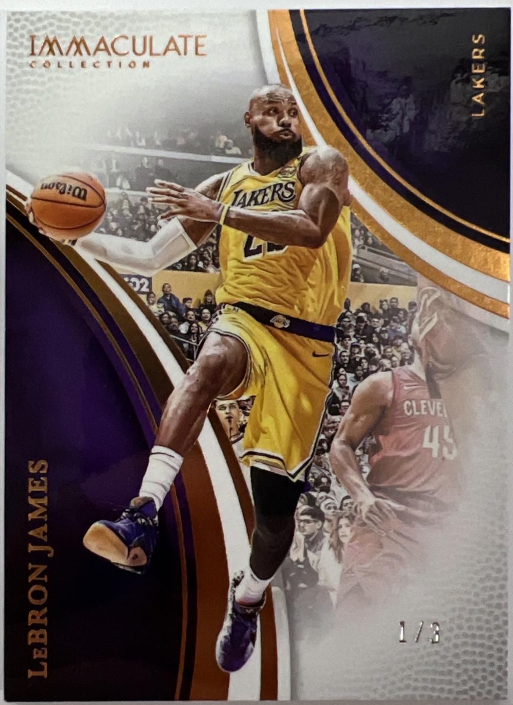 LeBron James [Bronze] #65