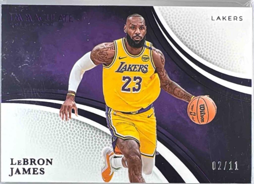 LeBron James [FOTL Variation] #99