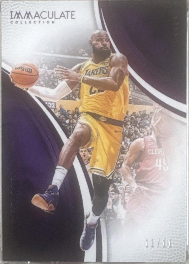 LeBron James [FOTL] #65
