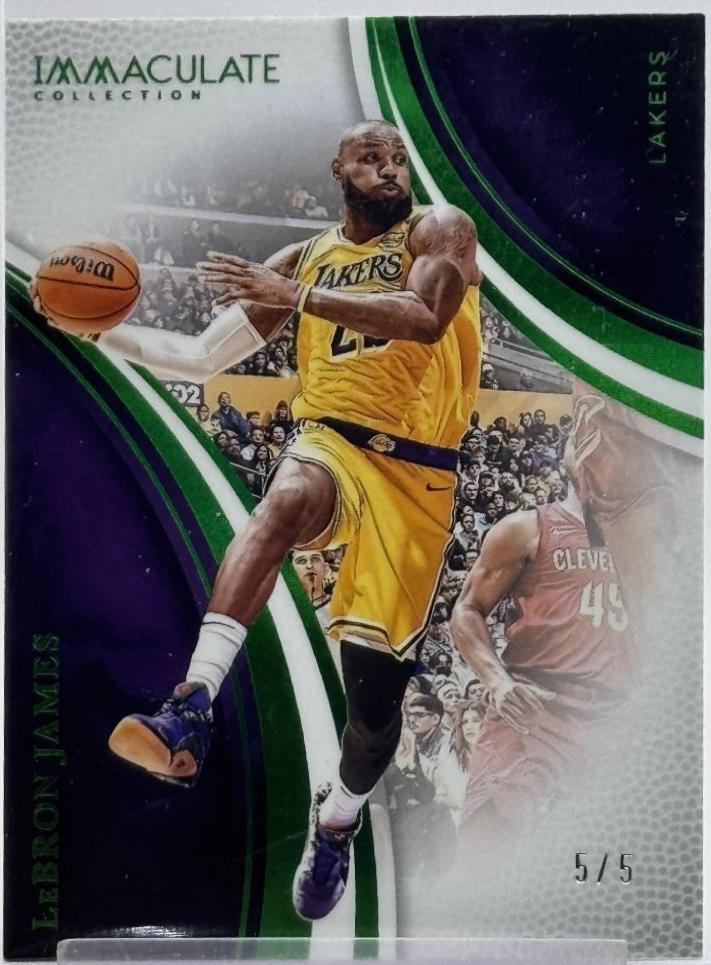 LeBron James [Green] #65