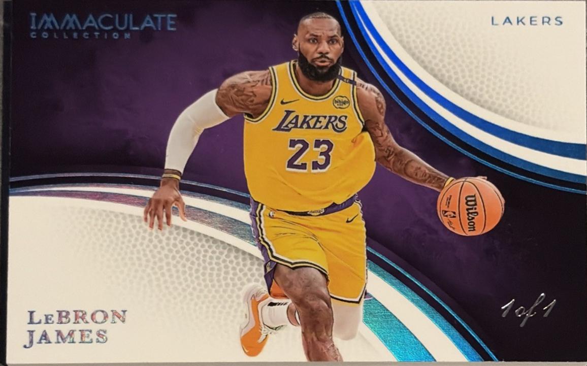 LeBron James [Platinum Variation] #99