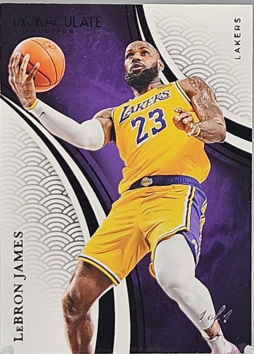 LeBron James [Platinum] #38