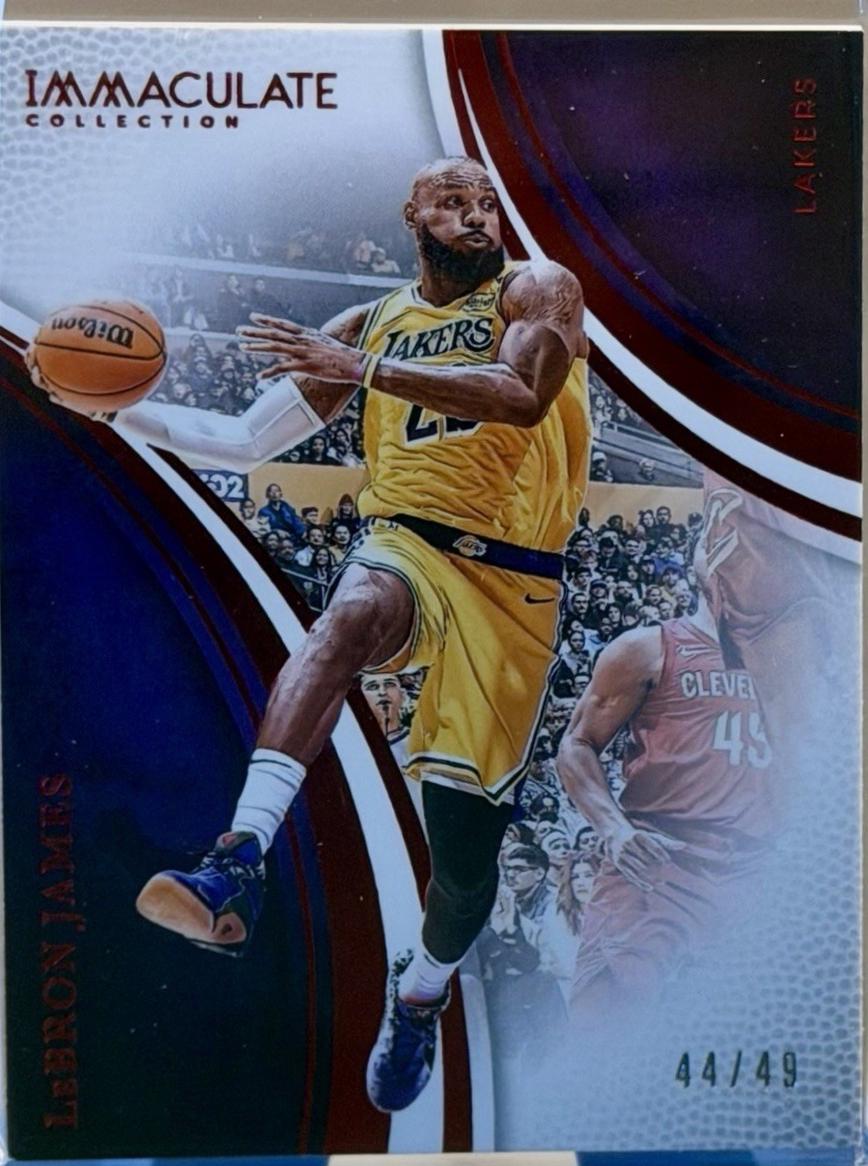 LeBron James [Red] #65