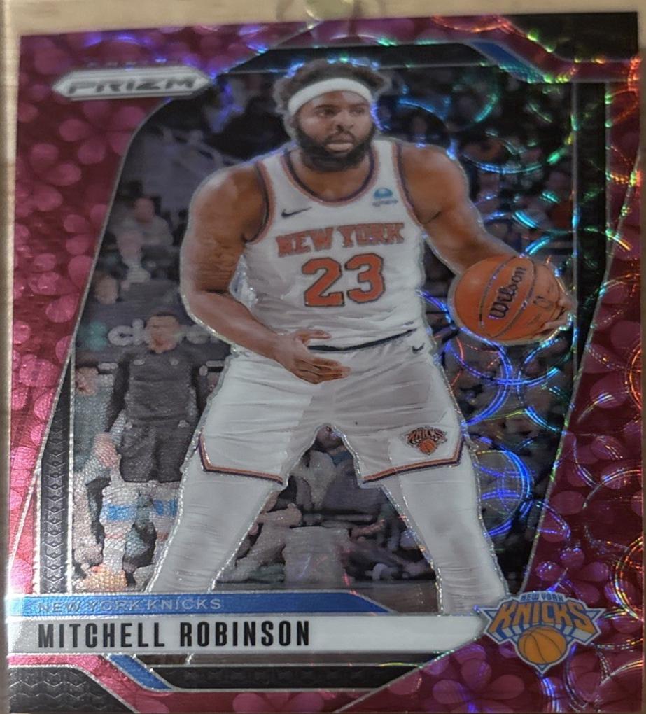 Mitchell Robinson [Plum Blossom] #156