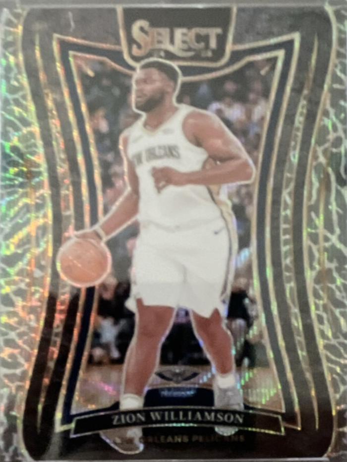 Zion Williamson [Elephant Prizm] #304