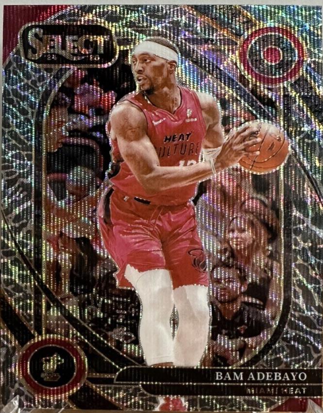 Bam Adebayo [Elephant Prizm] #221