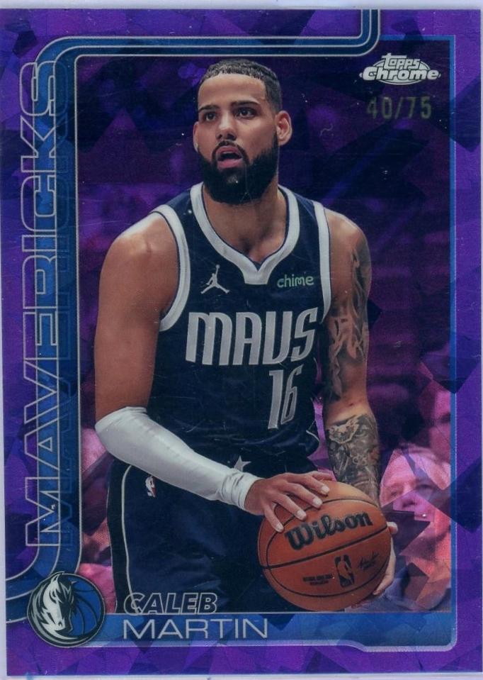 Caleb Martin [Purple] #87