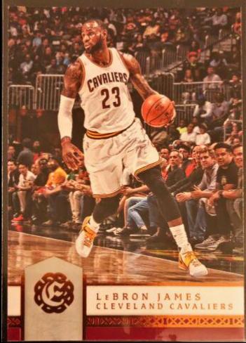 LeBron James #31