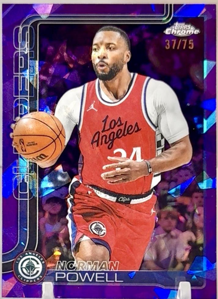 Norman Powell [Purple] #22