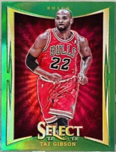 Taj Gibson #24