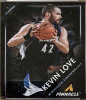 Kevin Love #247