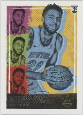 Mitchell Robinson #185