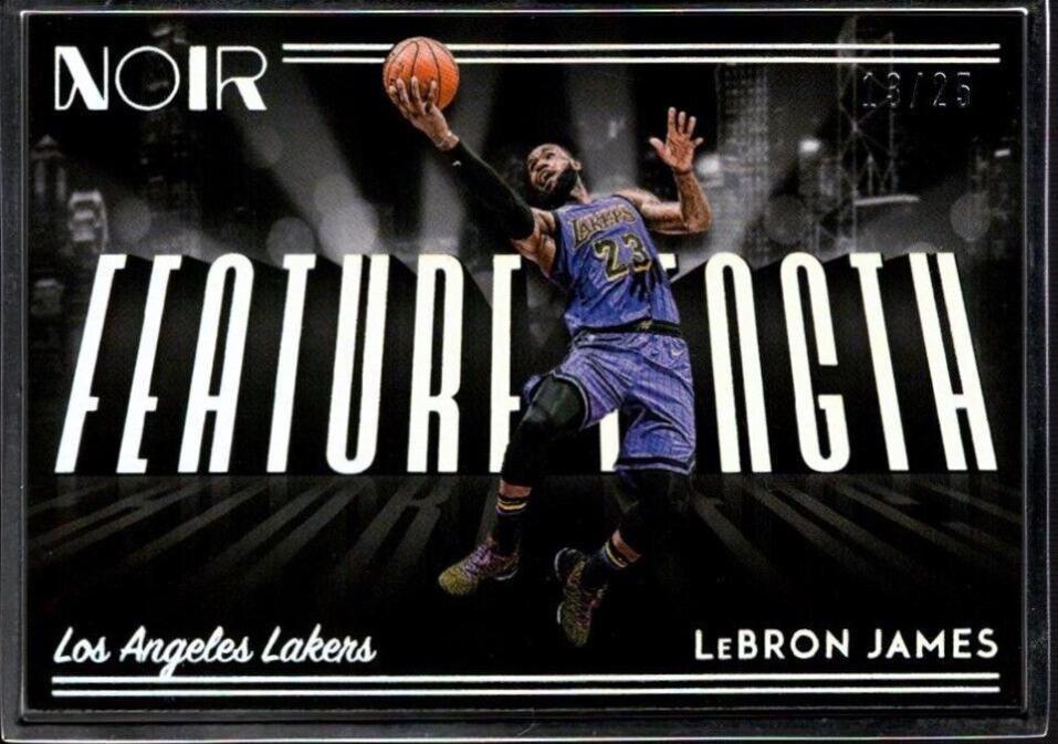 LeBron James #261