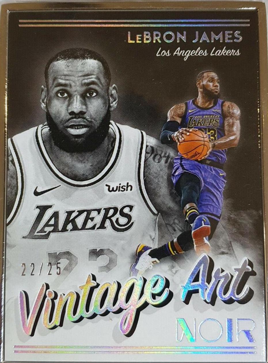 LeBron James #293