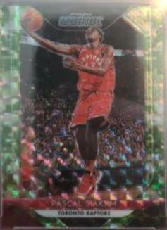 Pascal Siakam [Camo] #83