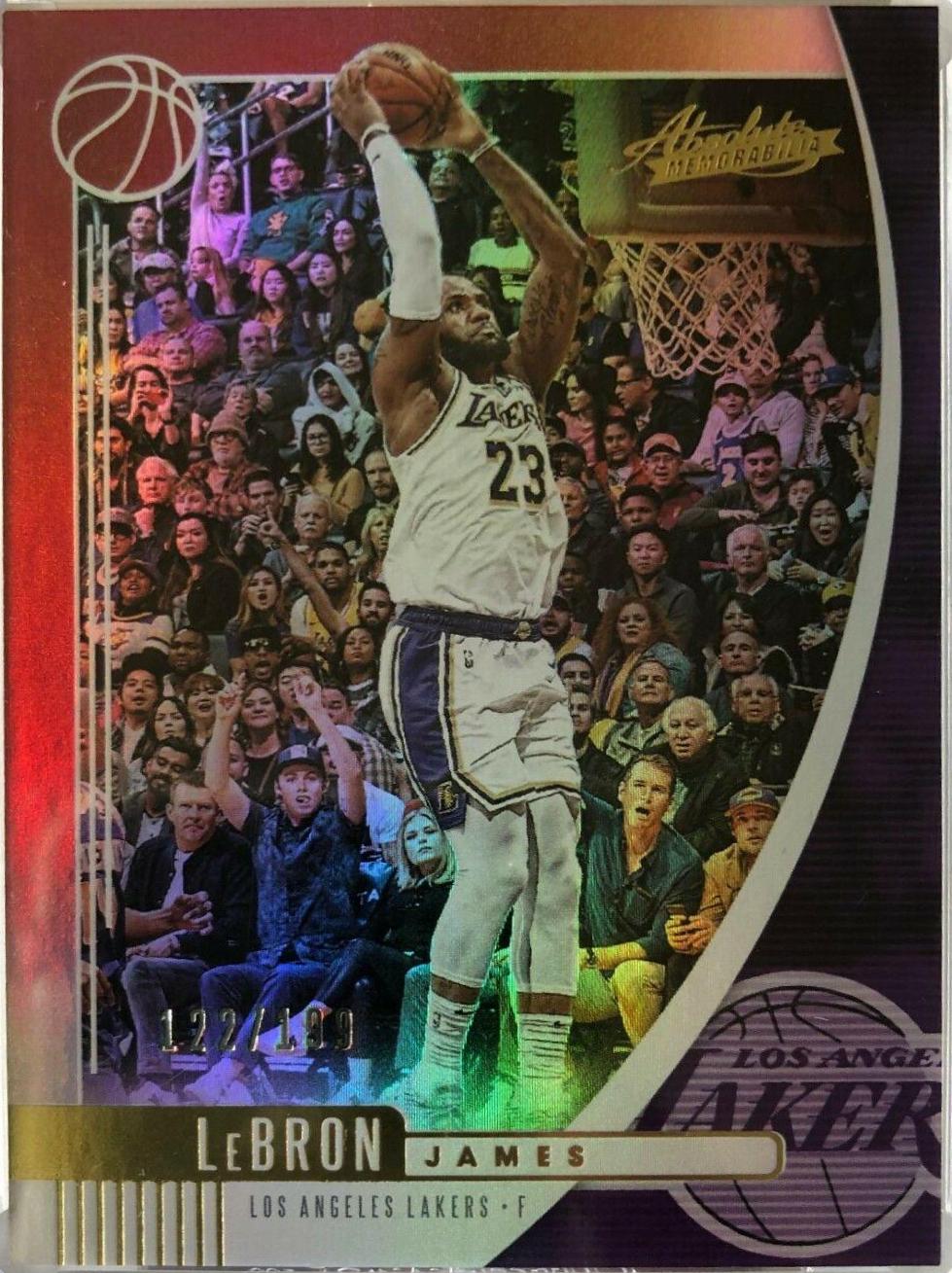 LeBron James [Purple] #66
