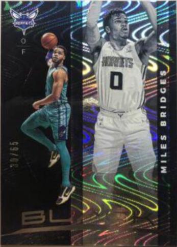 Miles Bridges [Silver] #8
