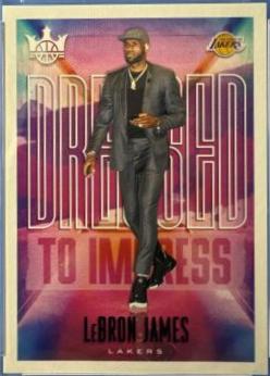 LeBron James [Amethyst] #5