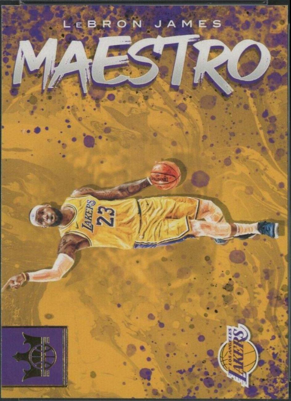 LeBron James #20