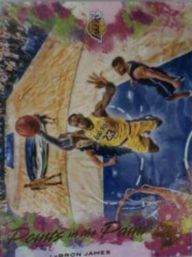 LeBron James #13