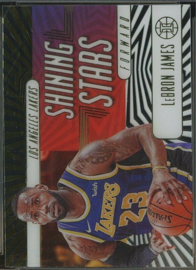LeBron James #5