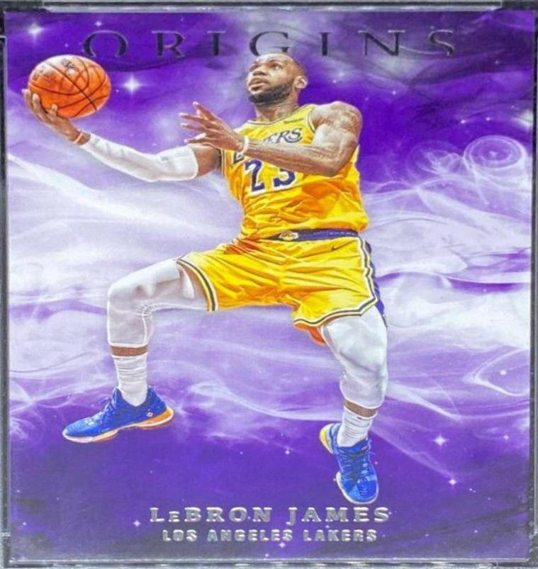LeBron James #83
