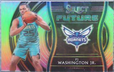 PJ Washington Jr. [Silver] #19