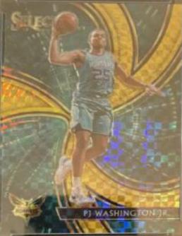 PJ Washington Jr. [Gold] #12