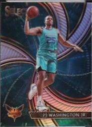 PJ Washington Jr. [Silver] #12
