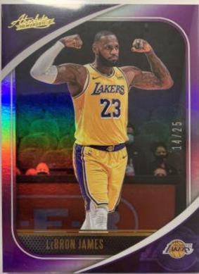 LeBron James [Purple] #45