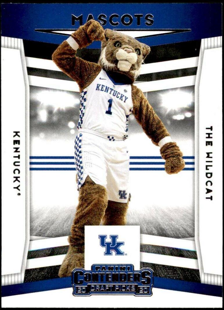 The Wildcat #19