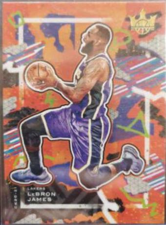 LeBron James #48