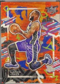 LeBron James [Artist Proof] #48