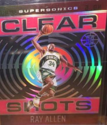 Ray Allen [Pink] #5
