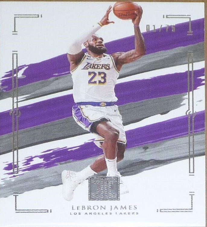 LeBron James [Silver] #54