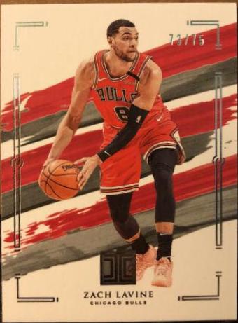 Zach LaVine #24