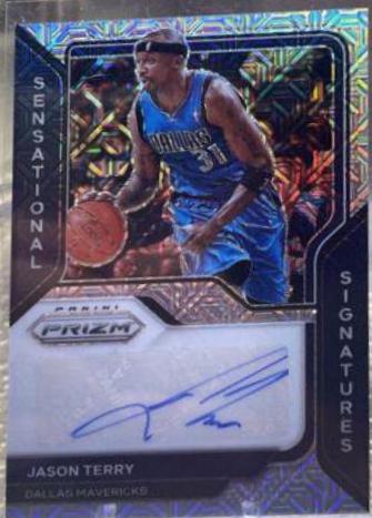 Jason Terry [Mojo Prizm] #SS-JTE