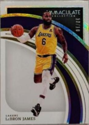 LeBron James [Gold] #41