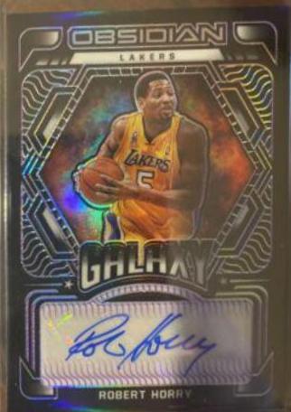 Robert Horry [Purple] #VS-RBH