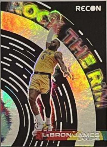 LeBron James #6