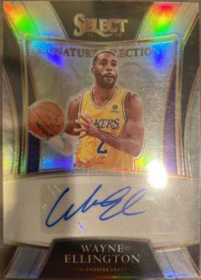 Wayne Ellington #SS-WEL