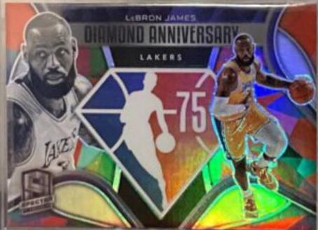 LeBron James #22