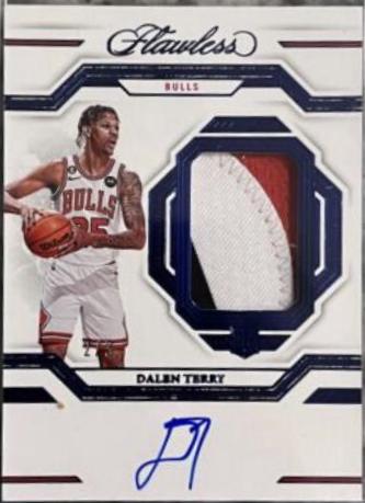 Dalen Terry [Horizontal Patch Auto] #2