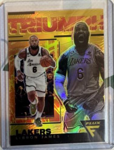 LeBron James [Gold] #7