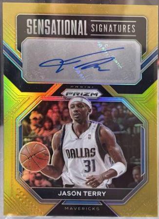 Jason Terry [Gold] #SS-JT