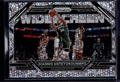 Giannis Antetokounmpo [Fast Break] #7